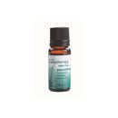NW Essential Oil Eucalyptus